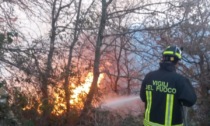 Incendio boschivo sul monte Follia a Pietrabruna