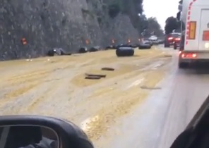 traffico olive autostrada 22