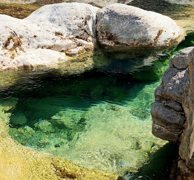 A rischio per la siccità il gambero di acqua dolce del rio Carne