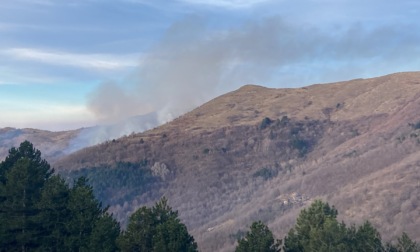 Incendio boschivo a Carpasio, poco distante dalle case