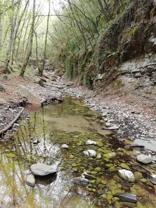 Il primo maggio torna la camminata tradizionale di Bajardo