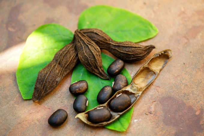 Mucuna pruriens, la polvere usata per uso alimentare e non solo: la guida