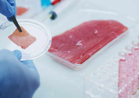 “Cibo sintetico: 53 i rischi, dalla allergie al cancro”