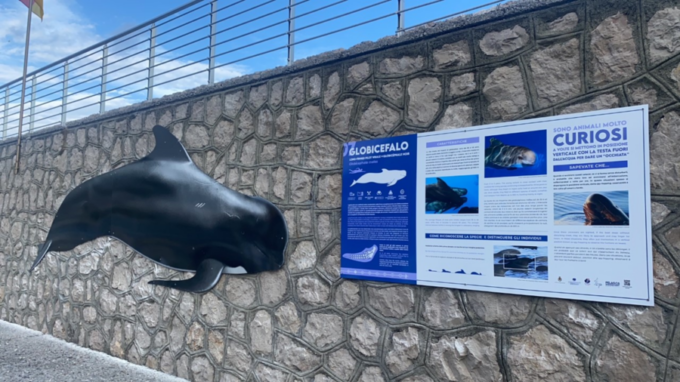 Inaugurazione di “Pelagos Discovery” al porto di Bordighera