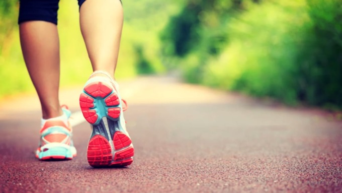 Domani una passeggiata tra le ginestre in fiore