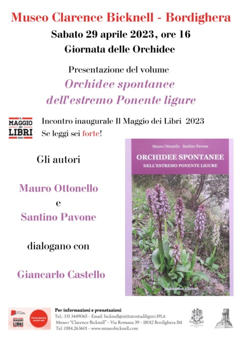 Orchidee spontanee nel ponente ligure