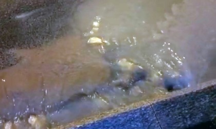 Esplode conduttura, si allaga la strada davanti al Palafiori di Sanremo