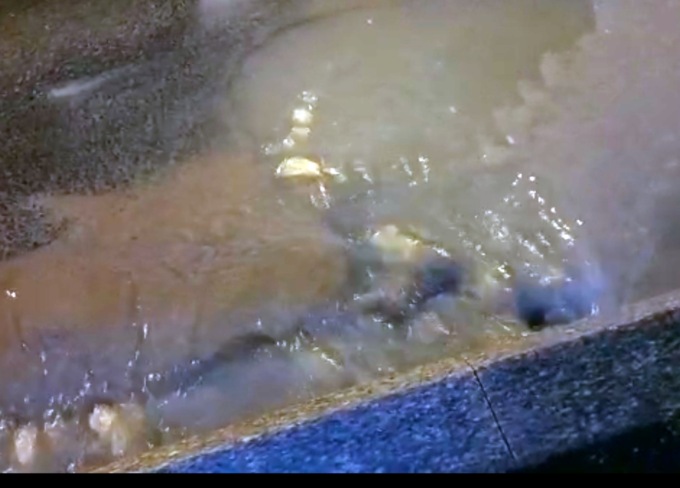 Esplode conduttura, si allaga la strada davanti al Palafiori di Sanremo