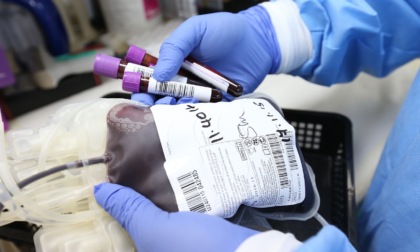 Giornata mondiale del sangue: la Fidas organizza una raccolta straordinaria