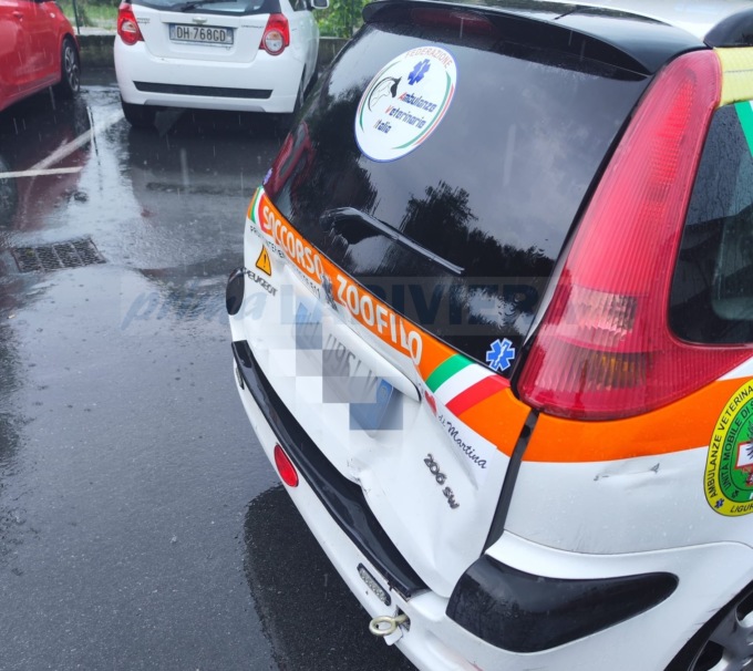 Tamponata l’ambulanza del soccorso veterinario, il servizio è sospeso