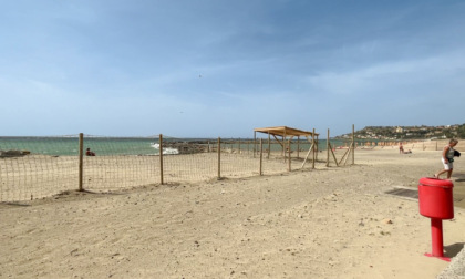 Terminati i lavori: Arma ha la spiaggia per cani