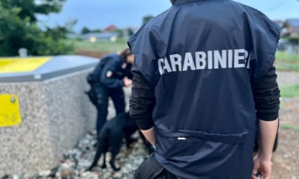 Quindici arresti tra Sanremo e Torino per spaccio di droga. Tutti italiani nella maxi inchiesta dei Carabinieri