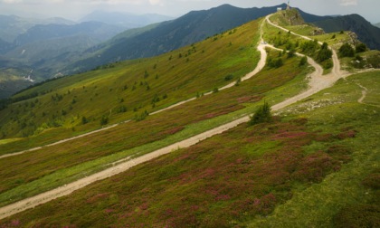 Il Parco delle Alpi Liguri protagonista di Alcotra