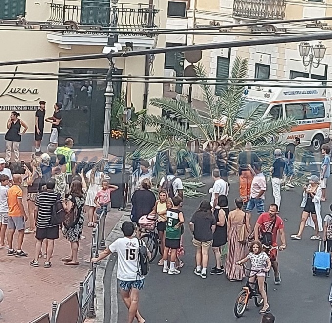 Tragedia sfiorata a Bordighera: crolla palma durante giornata commerciale