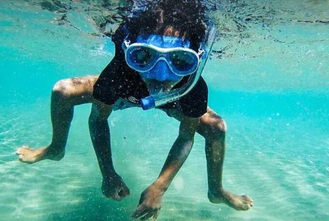 Esplorando il Giardino Blu: evento di snorkeling con i Delfini del Ponente