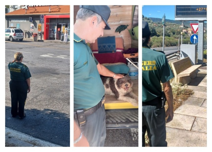 Animali abbandonati, Rangers d’Italia monitorano l’autostrada