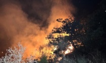 Ancora un incendio sopra la statale 28, a rischio vigneti e oliveti