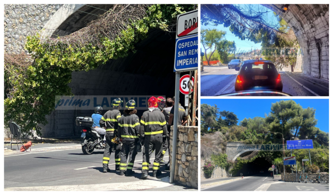 Rampicante pericolante sull’Aurelia, traffico a rilento nella galleria di Arziglia