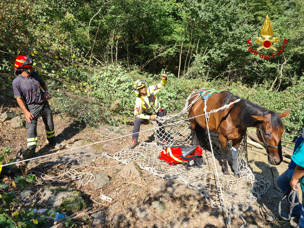 soccorso cavalla montegrosso pian latte vigili del fuoco