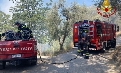 Incendio di sterpaglie a Vallecrosia sotto il ponte dell'Autostrada