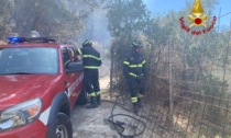 Bruciati già oltre 40 ettari nell'incendio di Montalto e Carpasio