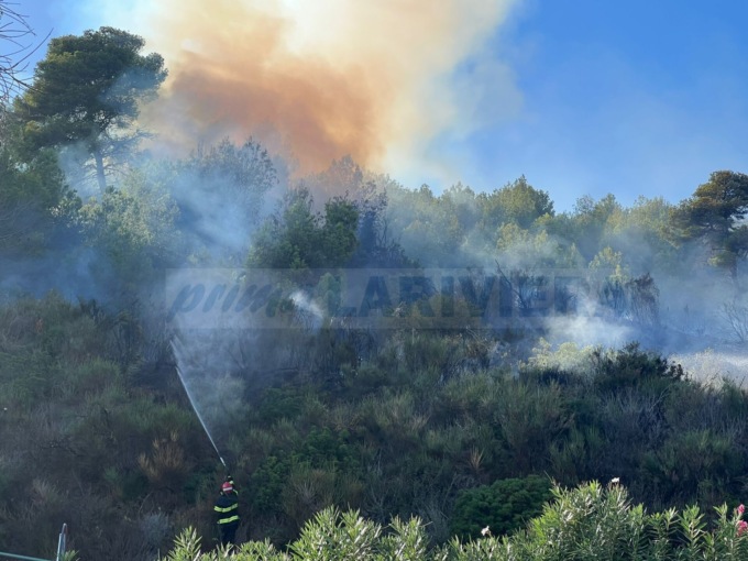 Incendio di sterpaglie sul Montenero a Bordighera