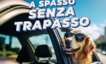 Auto second-hand? Da Autotorino a settembre conviene!