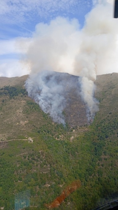 Incendio boschivo a Montalto Carpasio: un sospettato