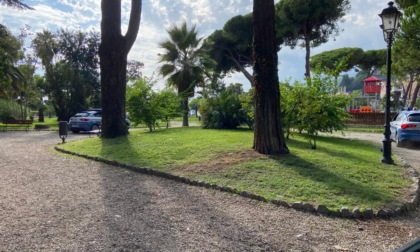 Ventimiglia: abbattimento di 34 alberi a rischio crollo