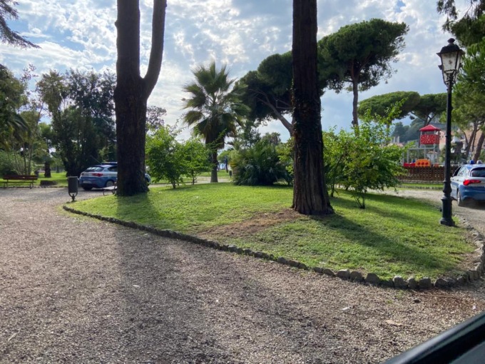 Ventimiglia: abbattimento di 34 alberi a rischio crollo
