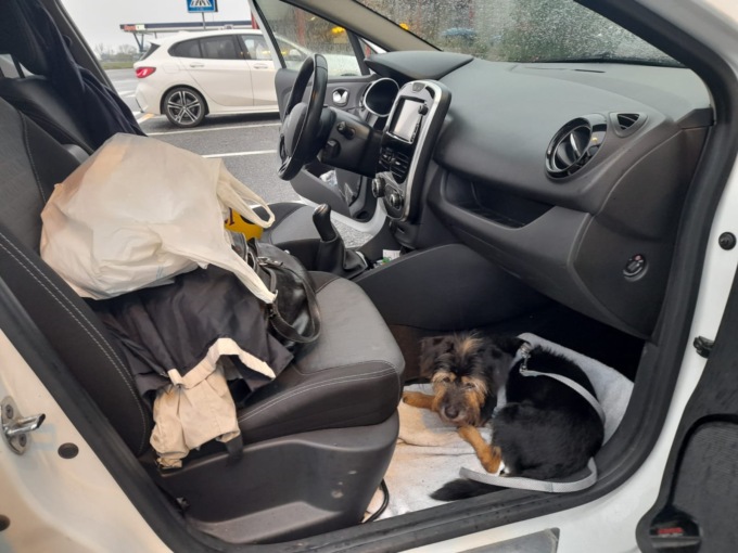 Sfrattata, 66enne dorme in auto per non lasciare i suoi cani