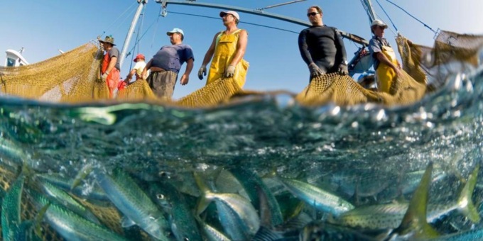 Fermo pesca, Mager: «Chiediamo al governo Meloni di ascoltare la voce dei territori»