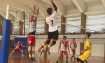 Volley maschile, quattro new entry nella rosa di Grafiche Amedeo