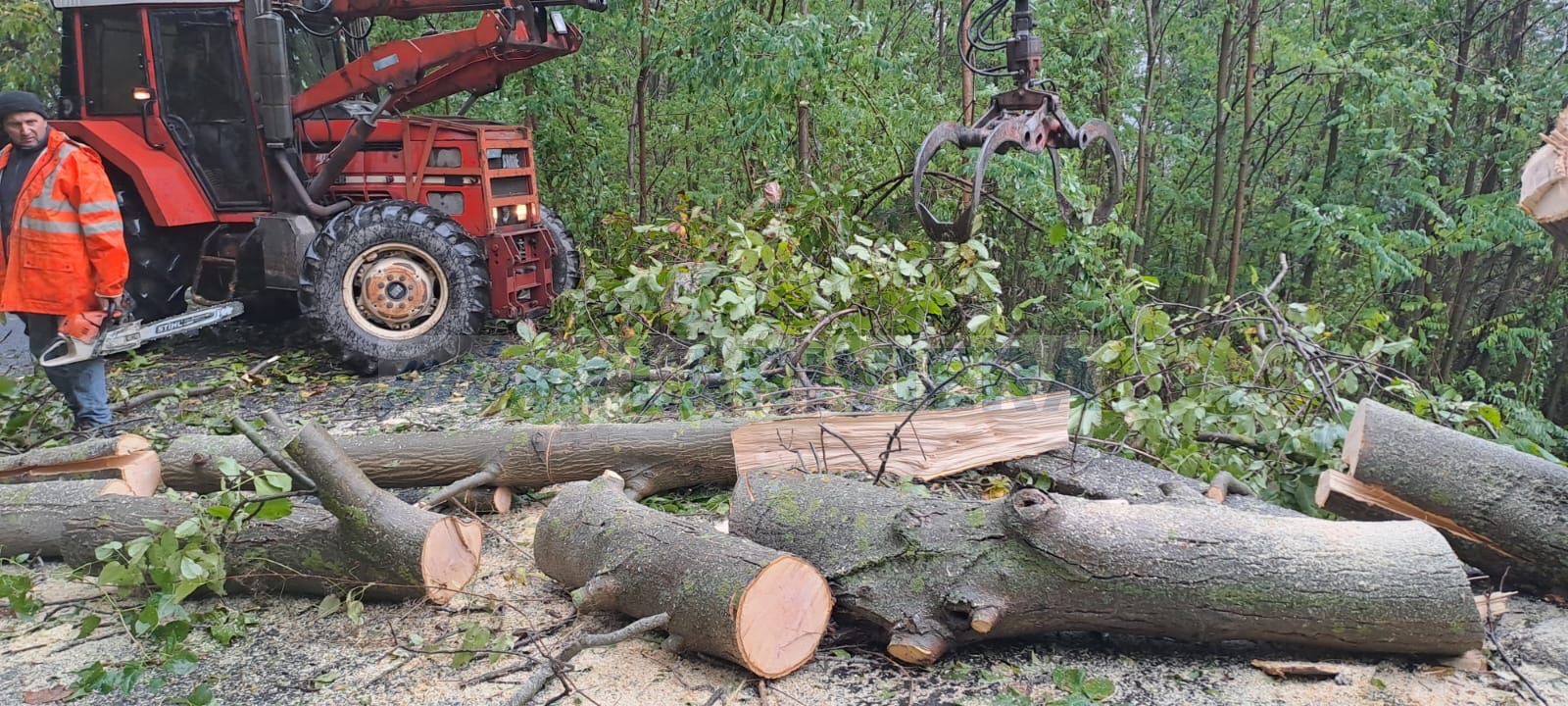 maltempo 20 ottobre 2023 cosio di arroscia vento pioggia_07