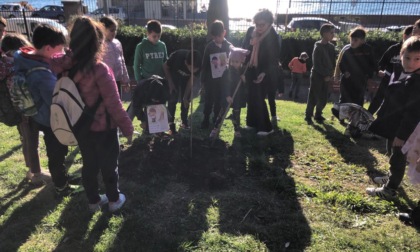 Festa dell’Albero al via la tre giorni di iniziative con i bambini