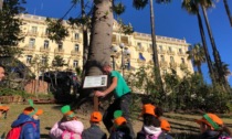 Carabinieri Forestali e alunni posano targa per l'albero monumentale