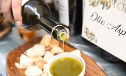 A Dolceacqua il Masters of olive oil con 250 degustazioni da tutto il mondo