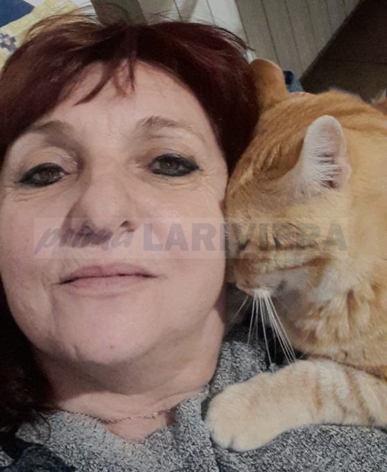 Mosé il gatto vagabondo di Ospedaletti con una propria fanpage per localizzarlo