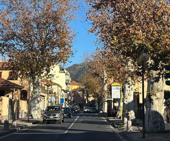 Camporosso: iniziata la messa in dimora di nuovi alberi in corso Vittorio Emanuele