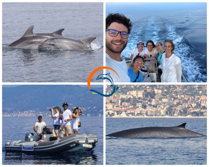 Un anno in mare con i Delfini del Ponente tra avvistamenti e salvataggi
