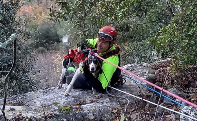 Vigili del fuoco del Saf salvano cane scivolato in un dirupo