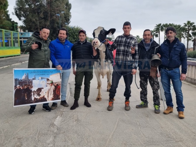 La mucca “Ercolina II” pascola per Sanremo per dire “no” alle leggi dell’Europa