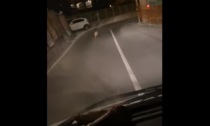 Un lupo in fuga lungo le strade di Oneglia. Il video virale