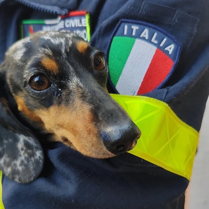 Il Comune di Pontedassio firma una convenzione con le ambulanze veterinarie