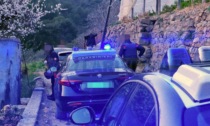 Fucilate per la mimosa a Sanremo: i 3 arrestati tacciono davanti al gip