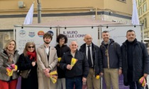 Giornata della Donna, da Mager il muro di riflessioni e mimosa