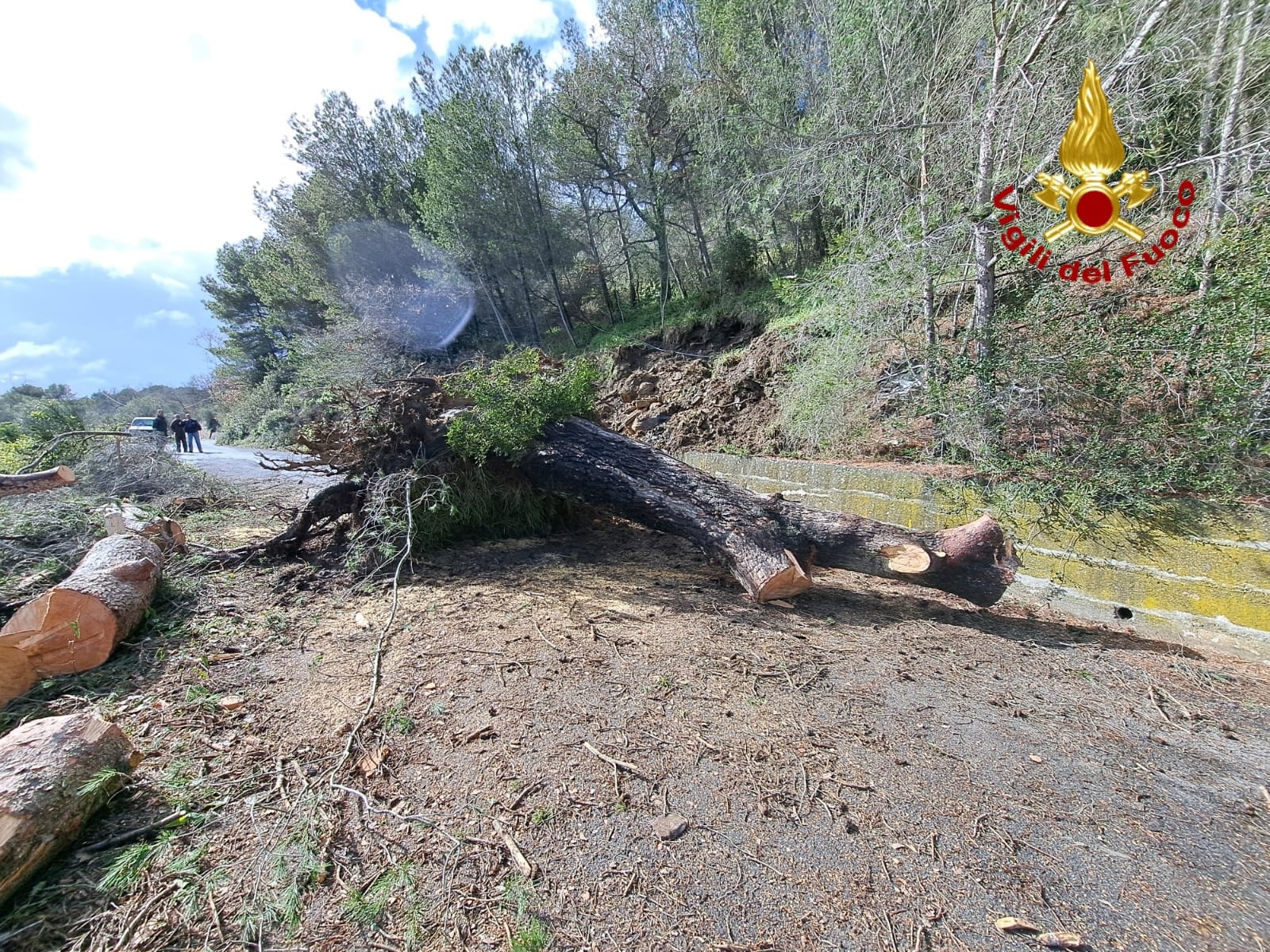 maltempo 10 marzo 2024 strada albero caduto diano arentino