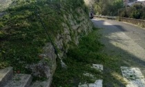 PD Ventimiglia: Amministrazione assente i cittadini sfalciano il verde da soli