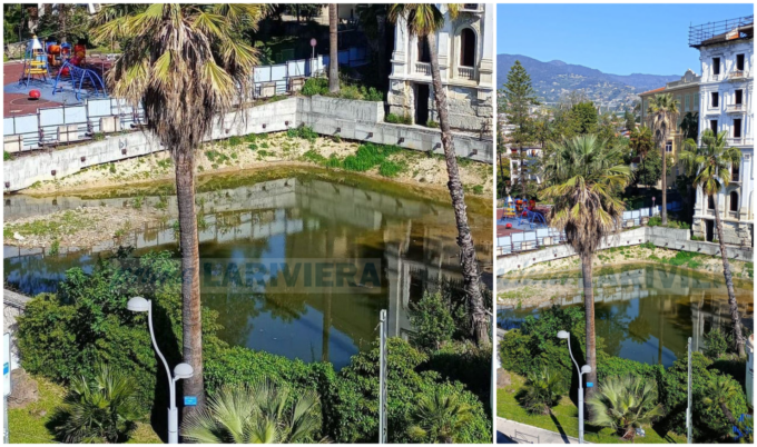 “Un acquitrino con rane, topi e zanzare nell’ex piscina dell’Astoria a Sanremo”