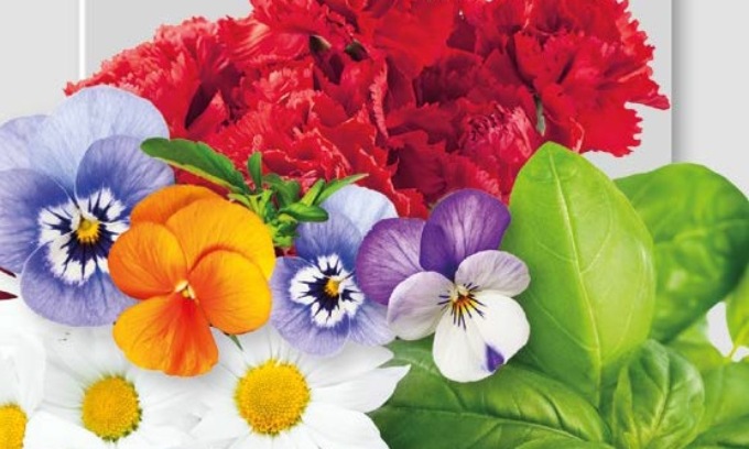 In regalo con La Riviera fiori… da mangiare